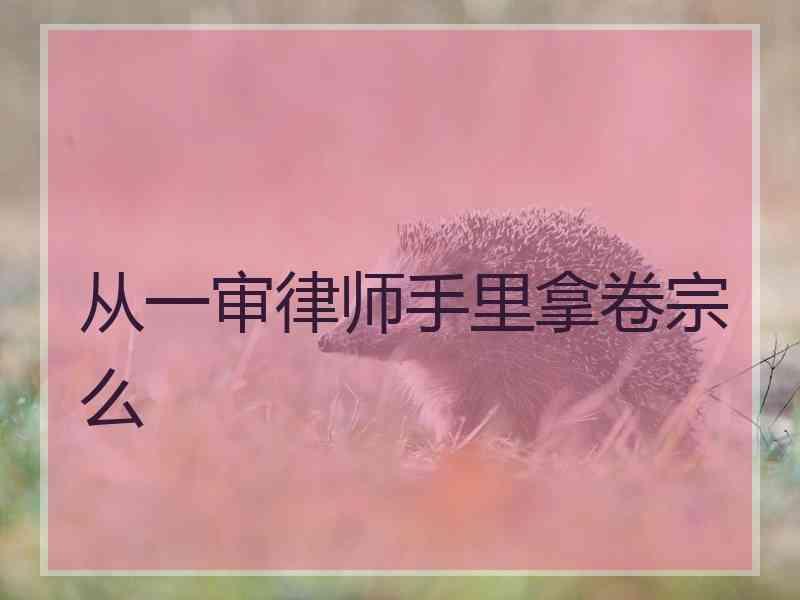 从一审律师手里拿卷宗么