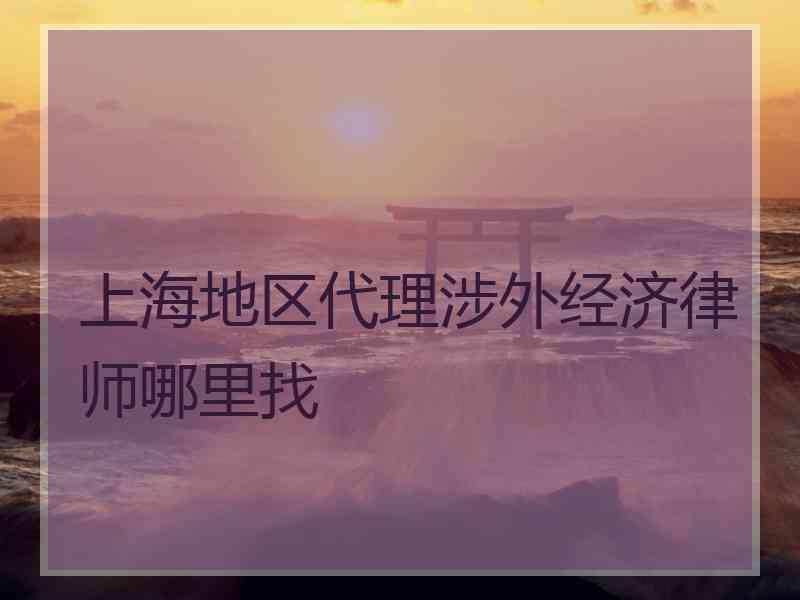 上海地区代理涉外经济律师哪里找