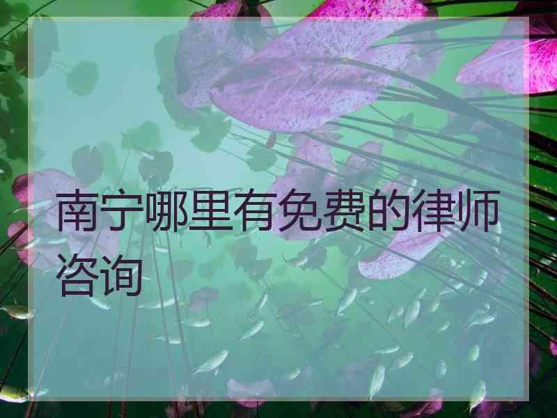 南宁哪里有免费的律师咨询