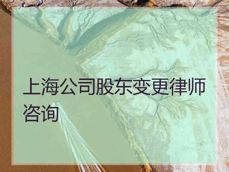 上海公司股东变更律师咨询