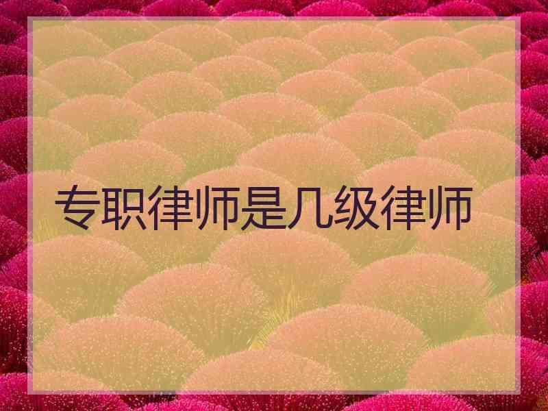专职律师是几级律师