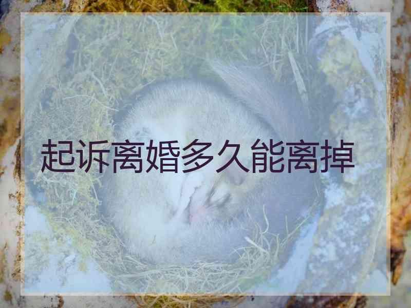 起诉离婚多久能离掉