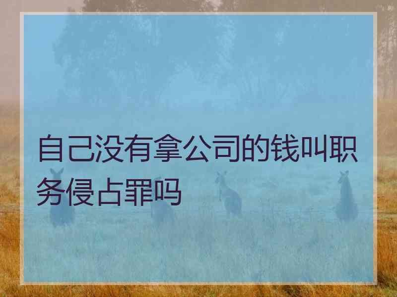 自己没有拿公司的钱叫职务侵占罪吗