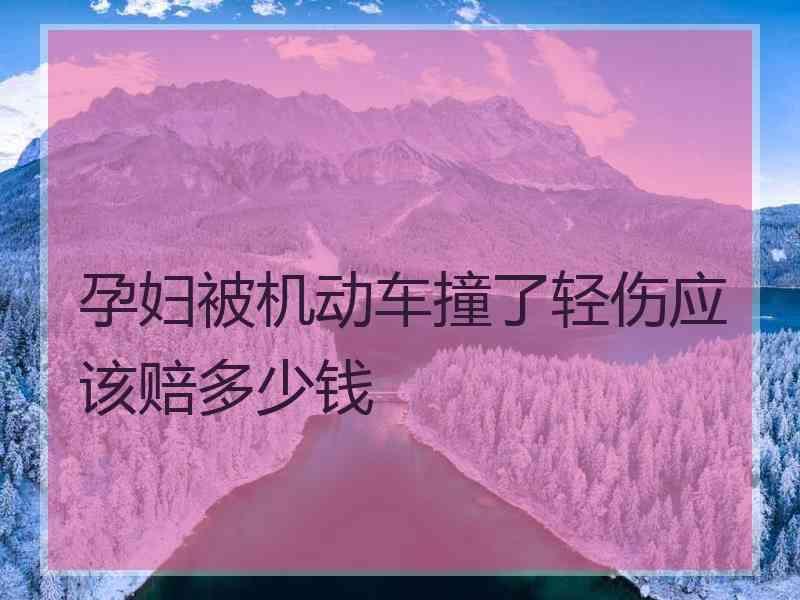 孕妇被机动车撞了轻伤应该赔多少钱