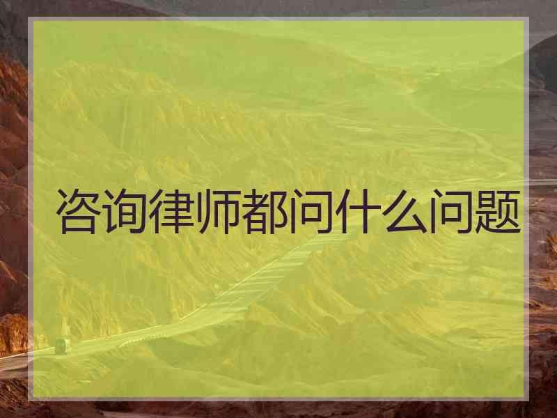 咨询律师都问什么问题