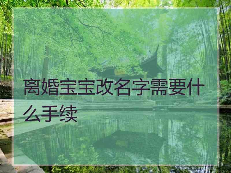 离婚宝宝改名字需要什么手续