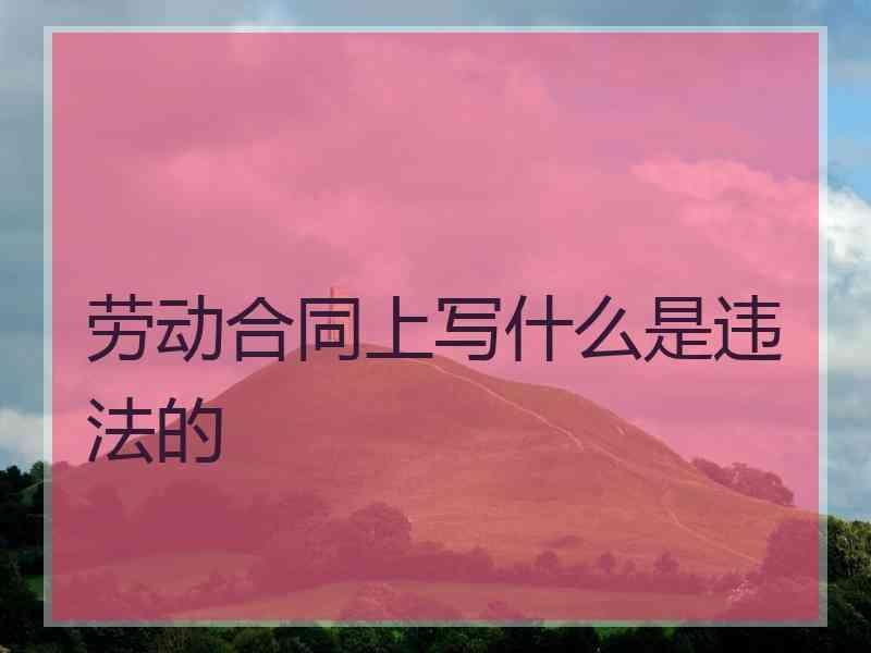 劳动合同上写什么是违法的