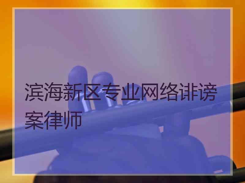 滨海新区专业网络诽谤案律师