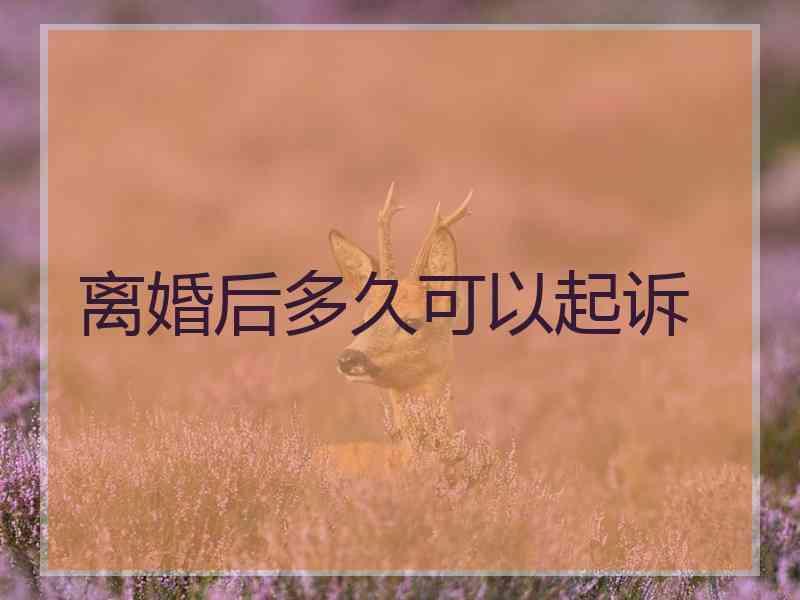 离婚后多久可以起诉