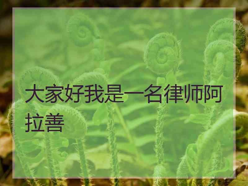 大家好我是一名律师阿拉善