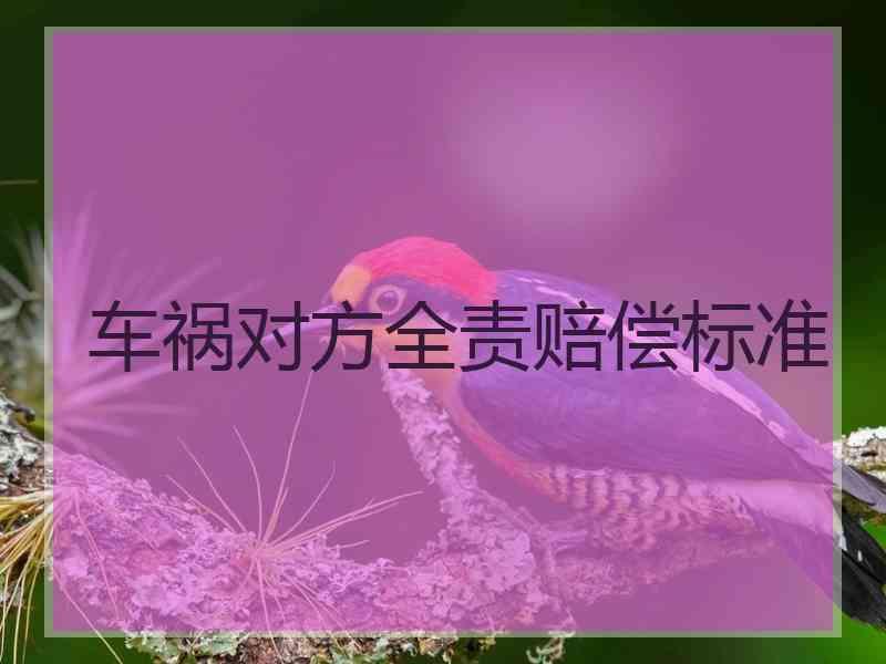 车祸对方全责赔偿标准