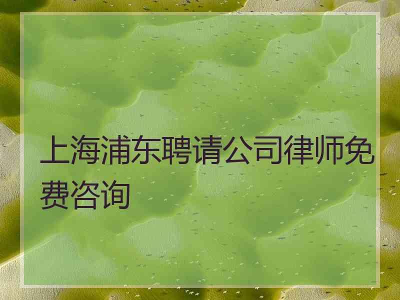 上海浦东聘请公司律师免费咨询