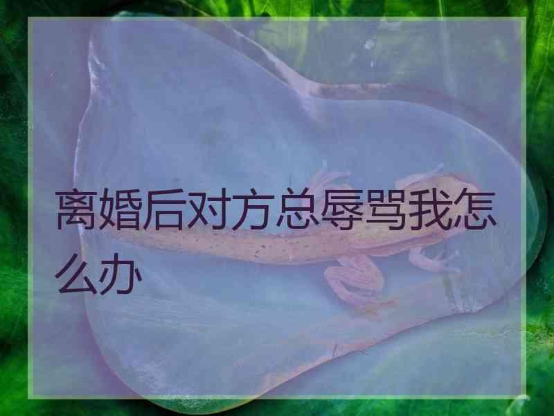 离婚后对方总辱骂我怎么办