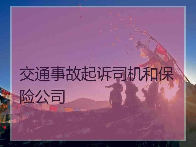 交通事故起诉司机和保险公司