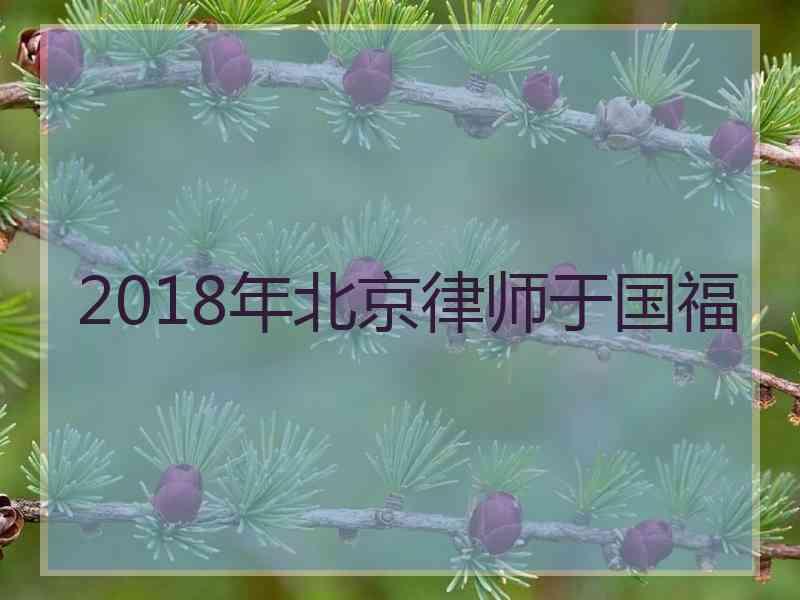 2018年北京律师于国福