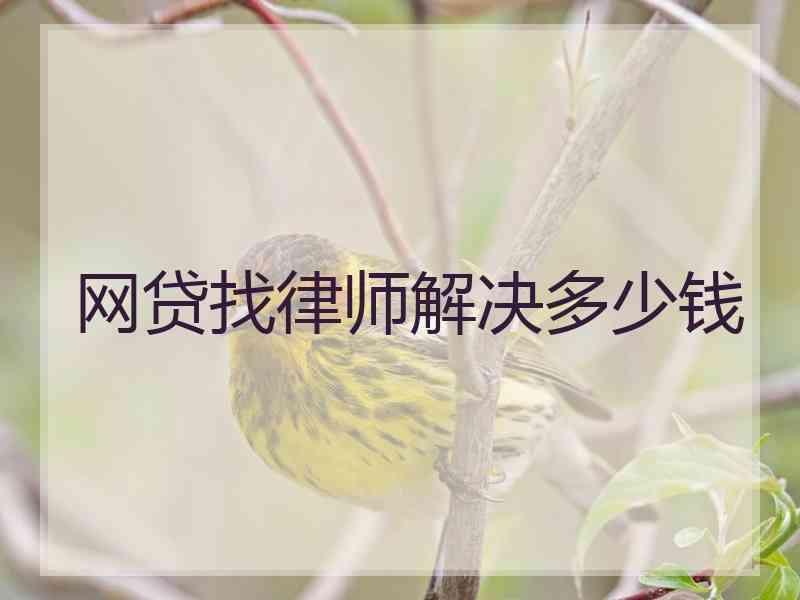 网贷找律师解决多少钱