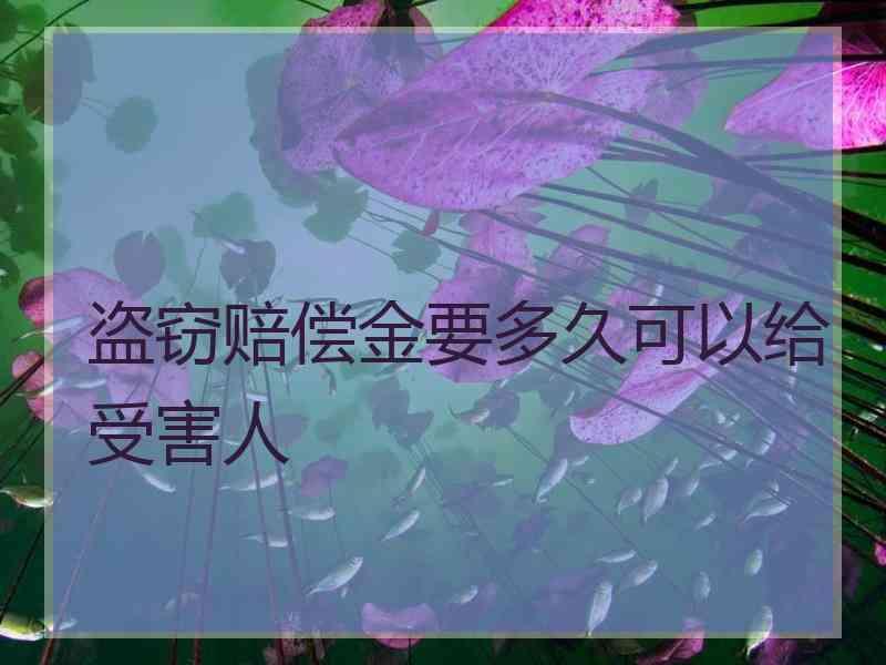 盗窃赔偿金要多久可以给受害人