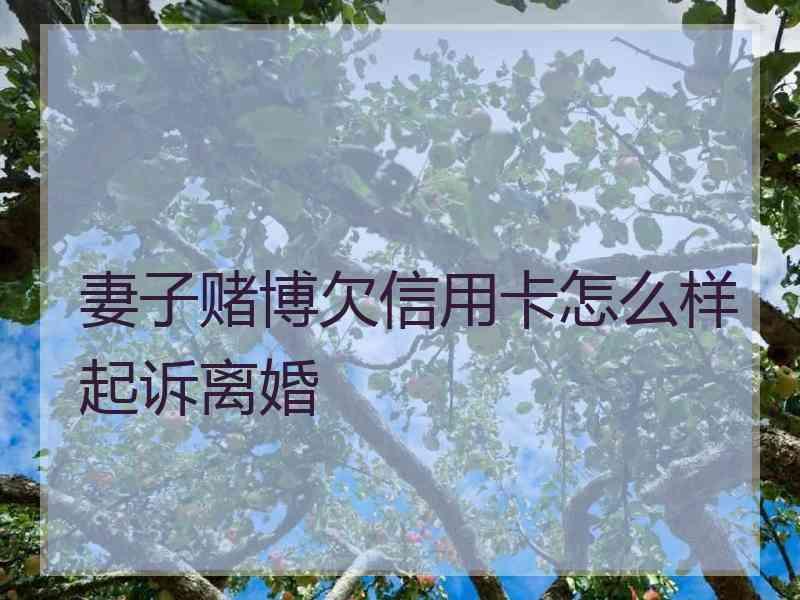 妻子赌博欠信用卡怎么样起诉离婚