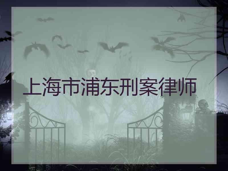 上海市浦东刑案律师
