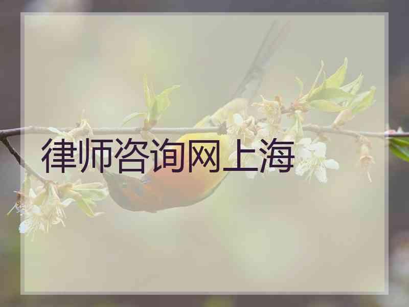 律师咨询网上海