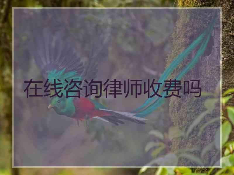 在线咨询律师收费吗