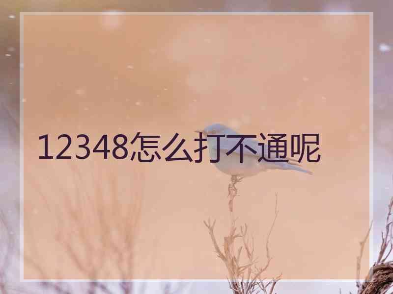 12348怎么打不通呢