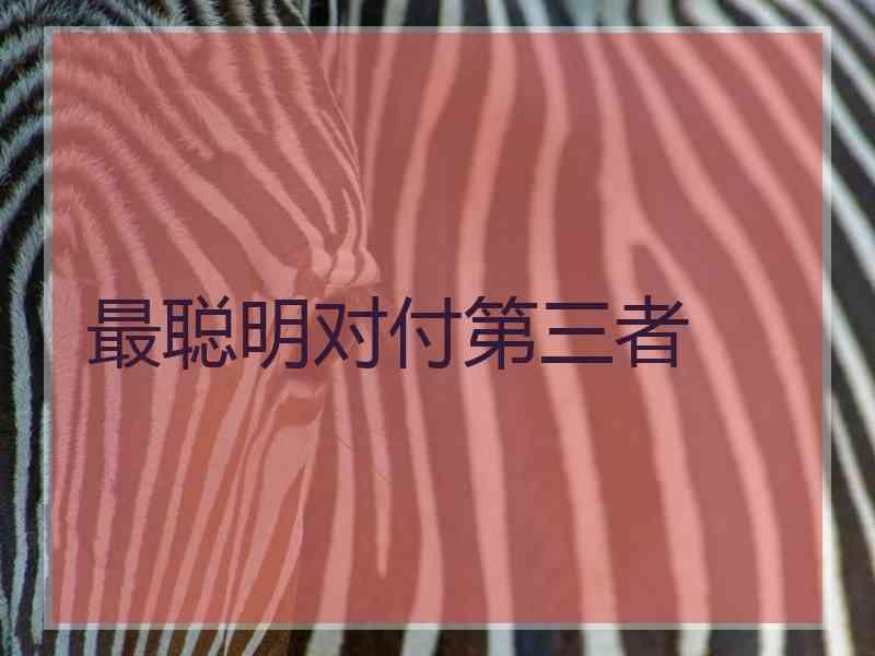 最聪明对付第三者