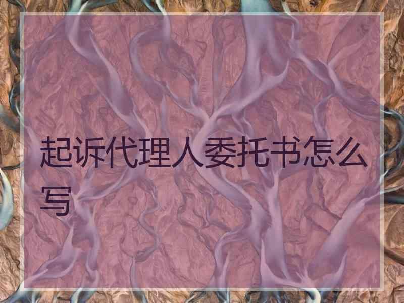 起诉代理人委托书怎么写