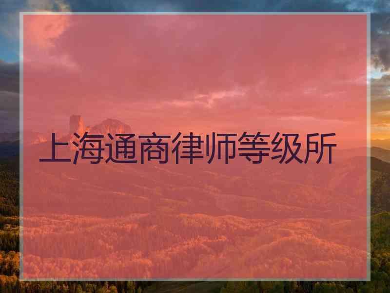 上海通商律师等级所