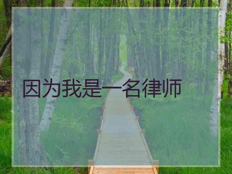 因为我是一名律师