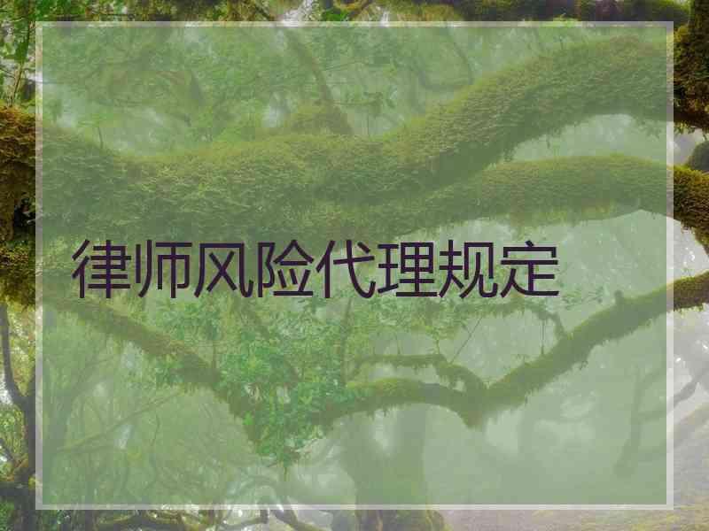 律师风险代理规定