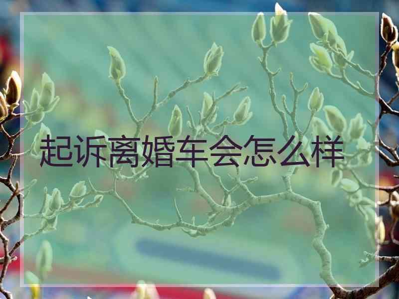 起诉离婚车会怎么样