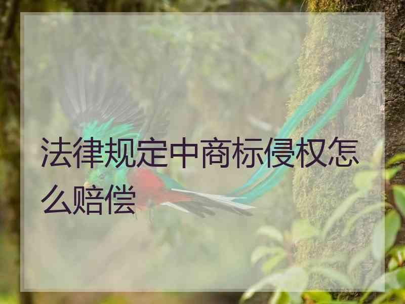 法律规定中商标侵权怎么赔偿