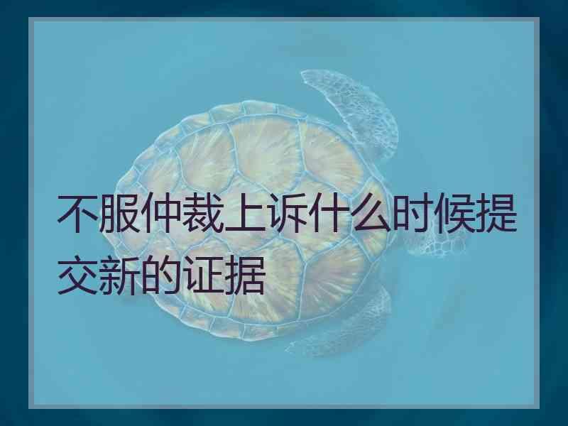 不服仲裁上诉什么时候提交新的证据