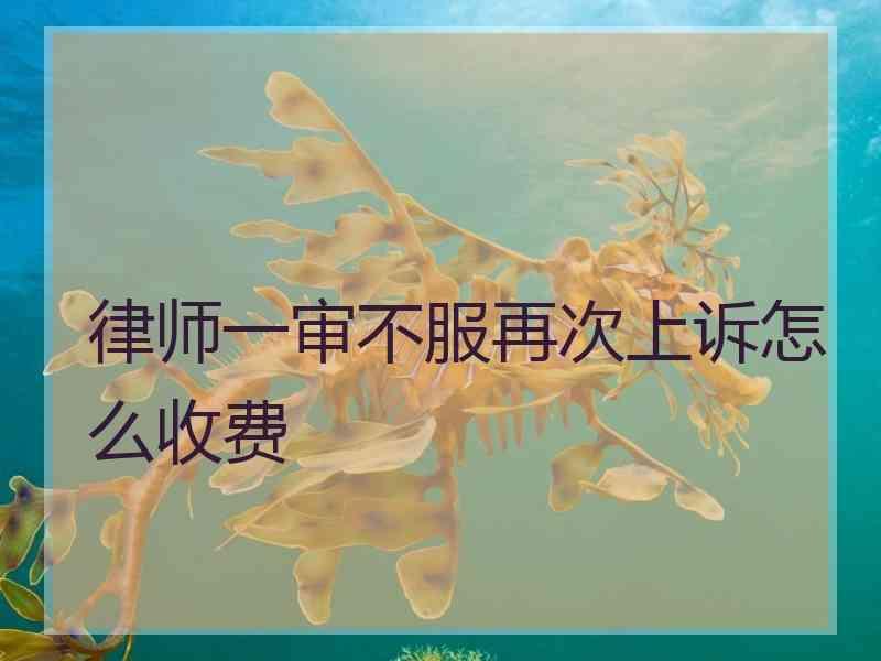 律师一审不服再次上诉怎么收费