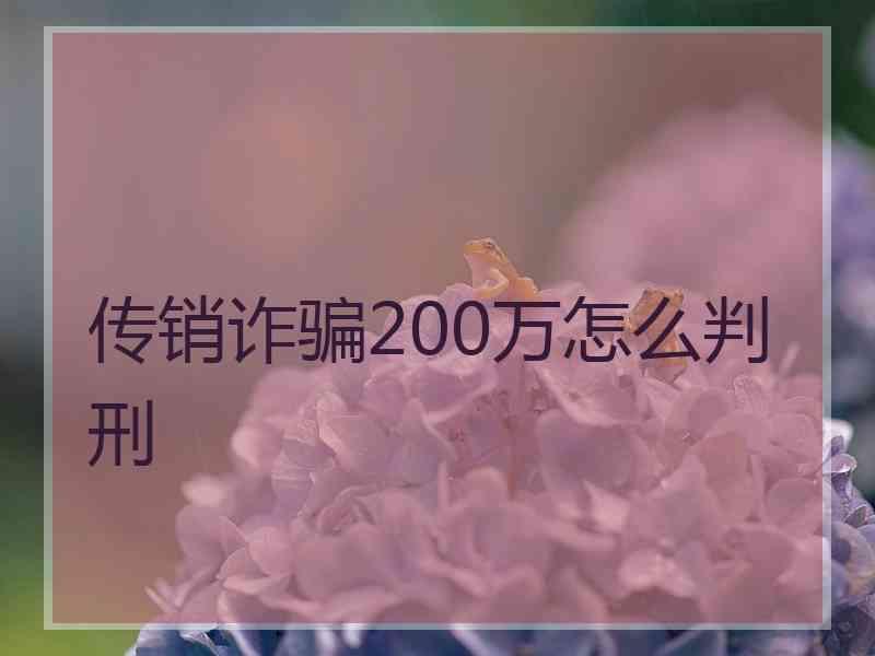 传销诈骗200万怎么判刑