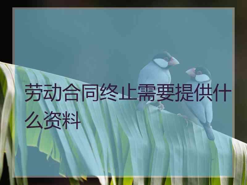 劳动合同终止需要提供什么资料