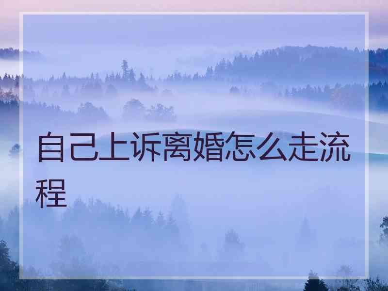 自己上诉离婚怎么走流程