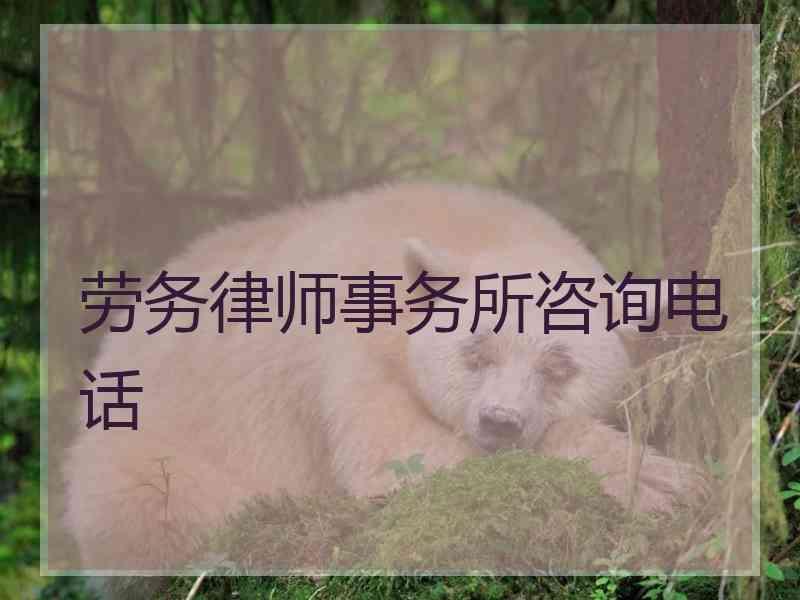 劳务律师事务所咨询电话