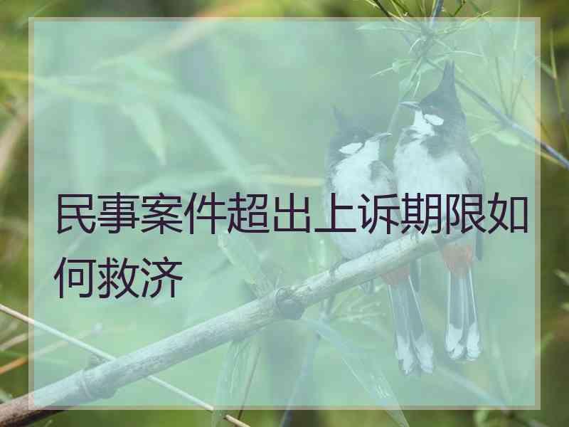 民事案件超出上诉期限如何救济