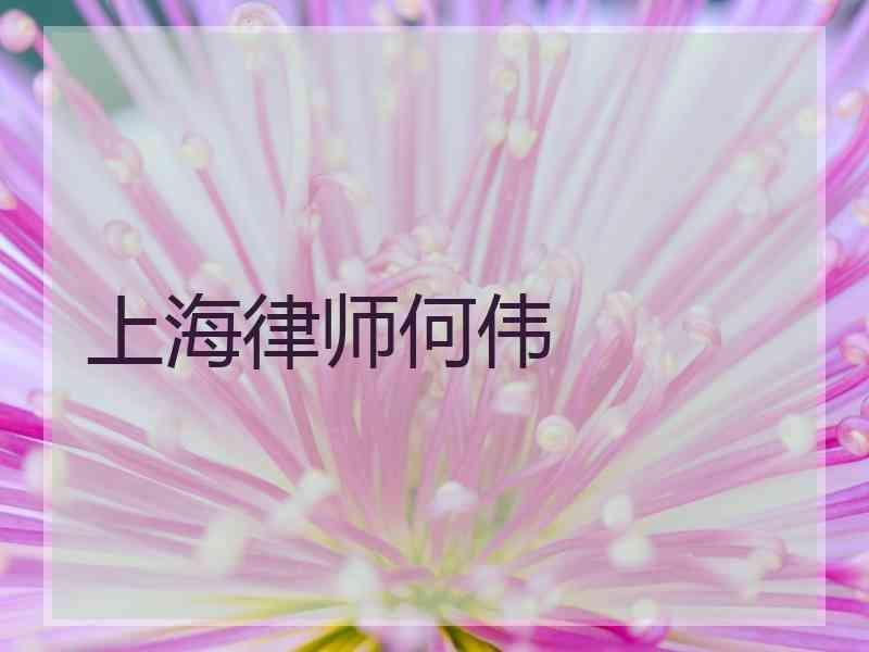 上海律师何伟