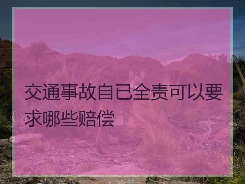 交通事故自已全责可以要求哪些赔偿