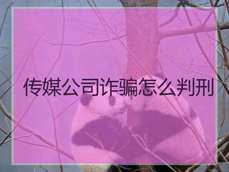 传媒公司诈骗怎么判刑