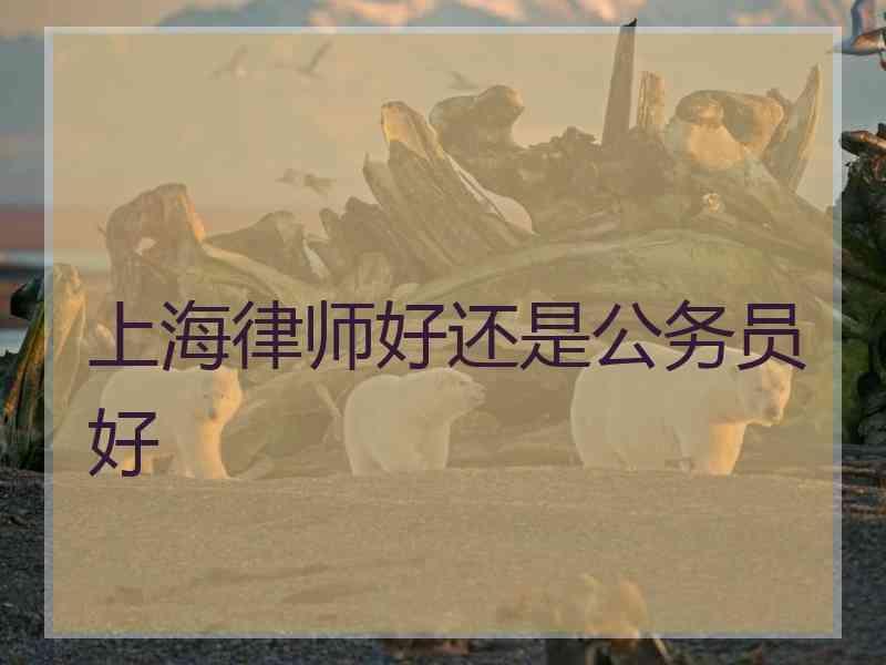 上海律师好还是公务员好