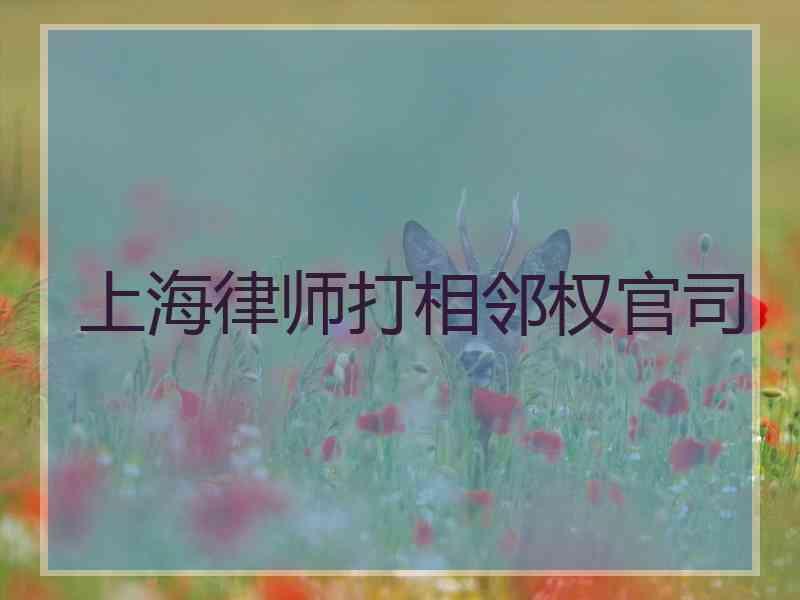 上海律师打相邻权官司