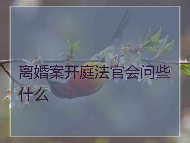 离婚案开庭法官会问些什么