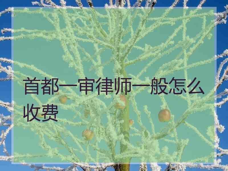 首都一审律师一般怎么收费