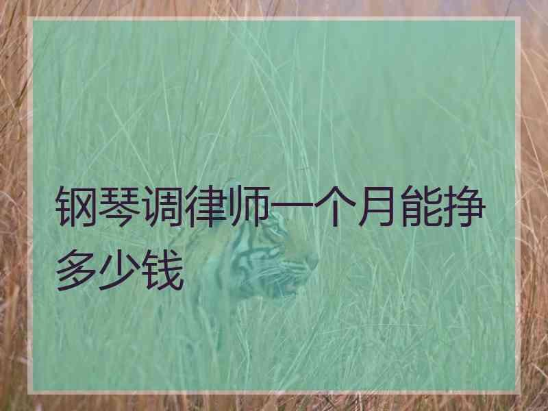 钢琴调律师一个月能挣多少钱