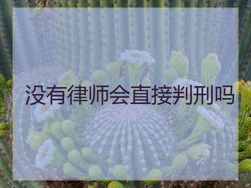 没有律师会直接判刑吗