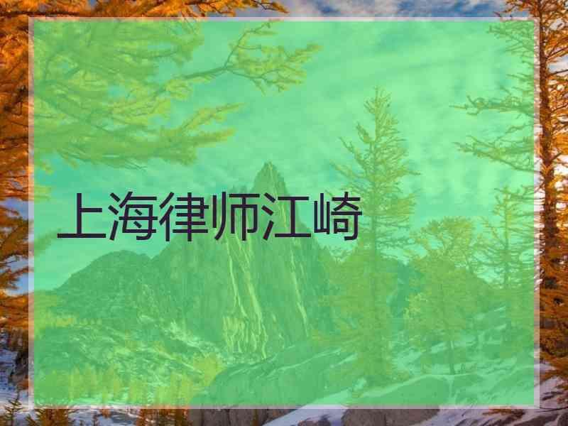 上海律师江崎